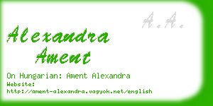 alexandra ament business card